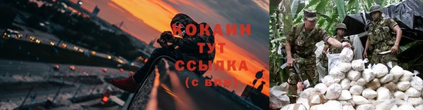 каннабис Арсеньев