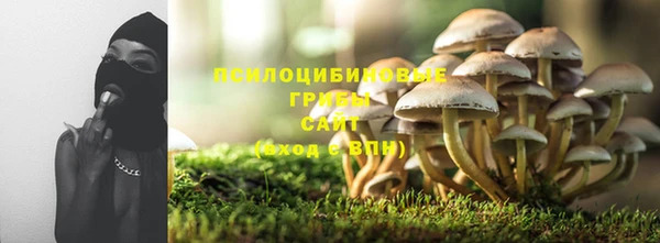 каннабис Арсеньев