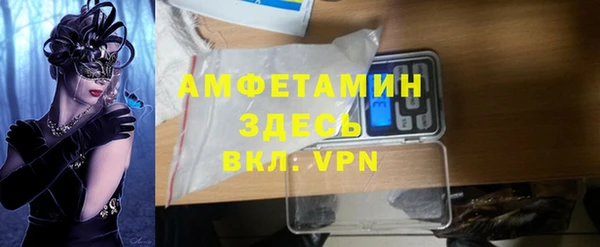 хмурый Алексин