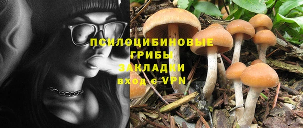 бошки Алзамай